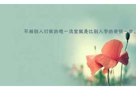 桑日侦探公司